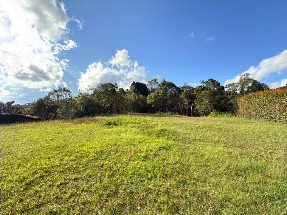 Lote Alto de Las Palmas