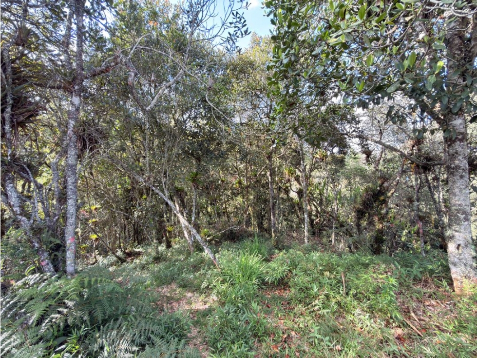 Lote Alto de Las Palmas — foto 3