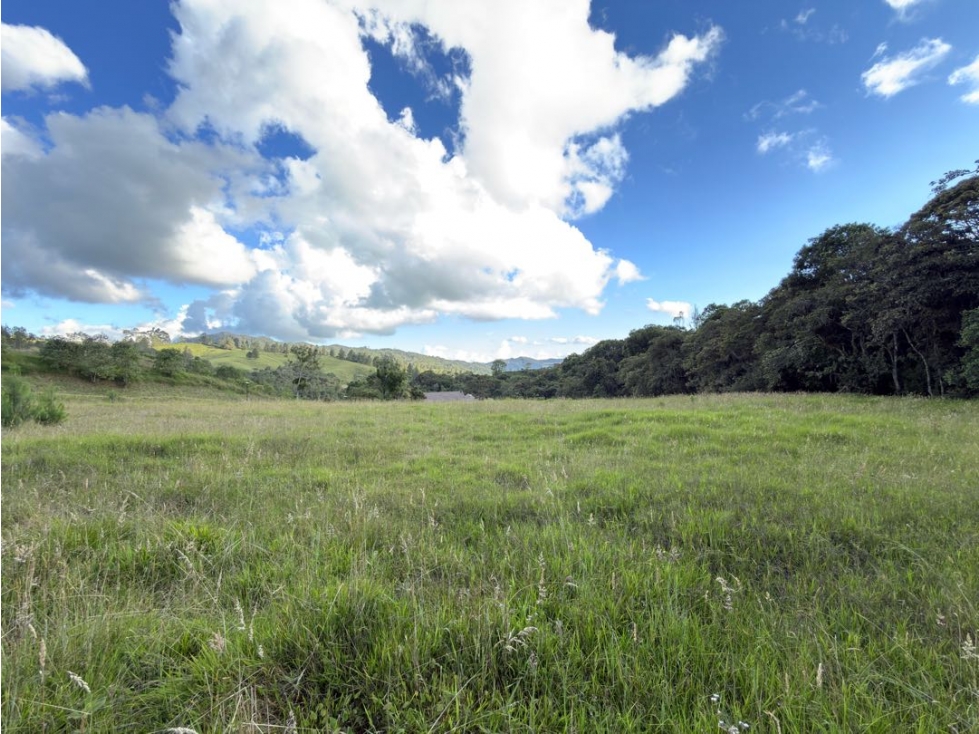 Lote Alto de Las Palmas