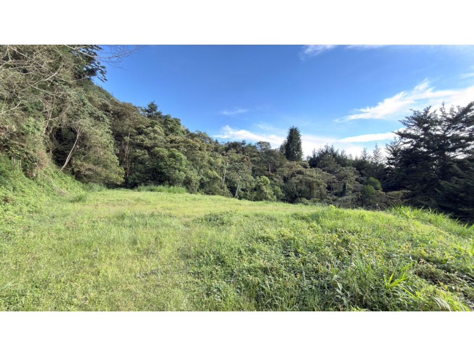 Lote Alto de Las Palmas