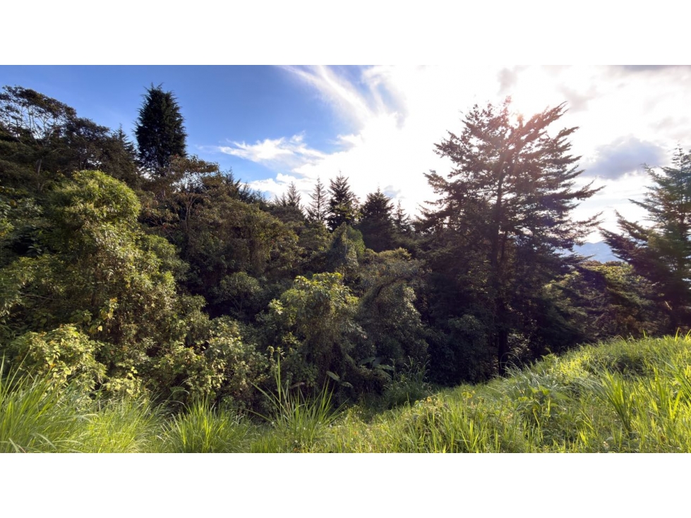 Lote Alto de Las Palmas — foto 4