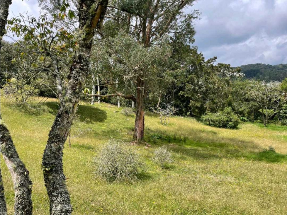 Lote Alto de Palmas — foto 2