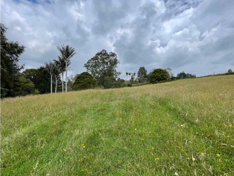 Lote Alto de Palmas — foto 3