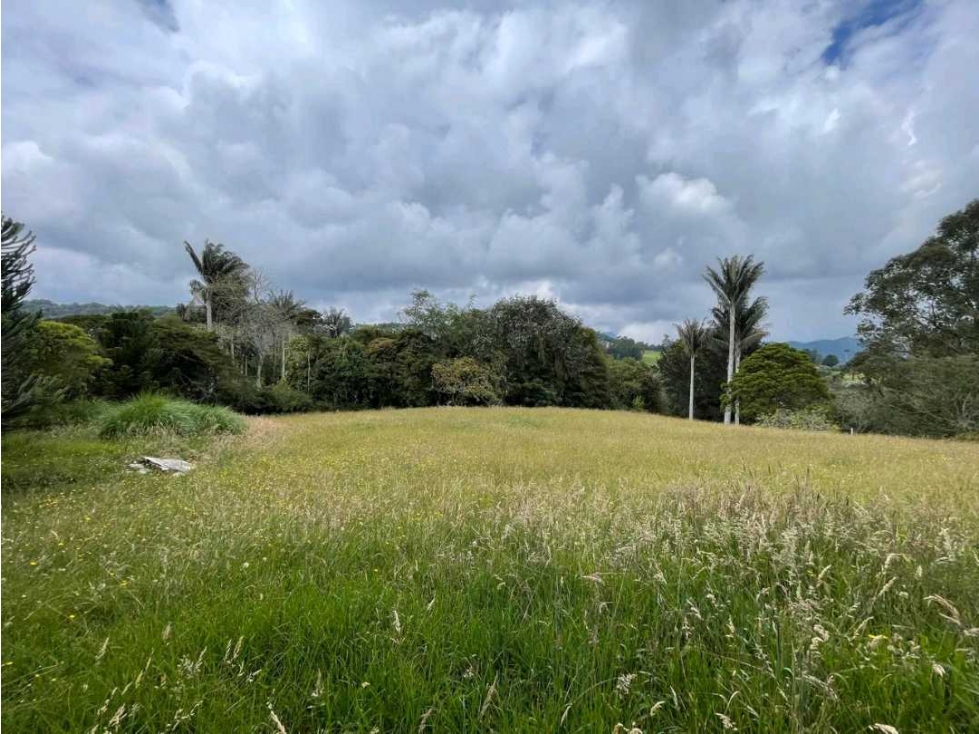 Lote Alto de Palmas — foto 4