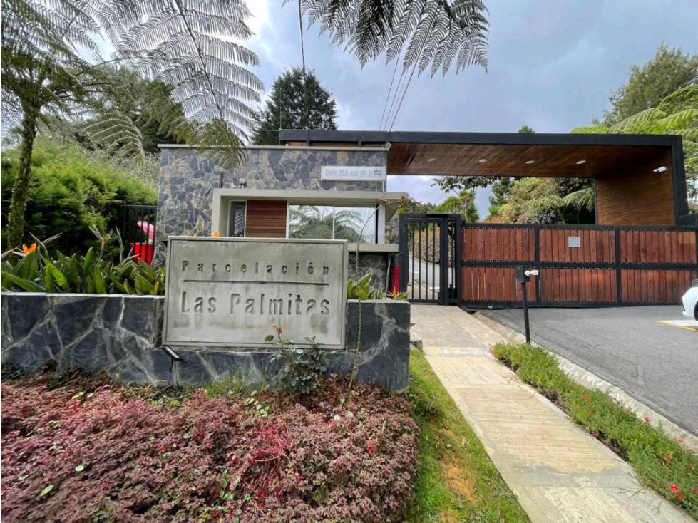 Lote Alto de Palmas — foto 6