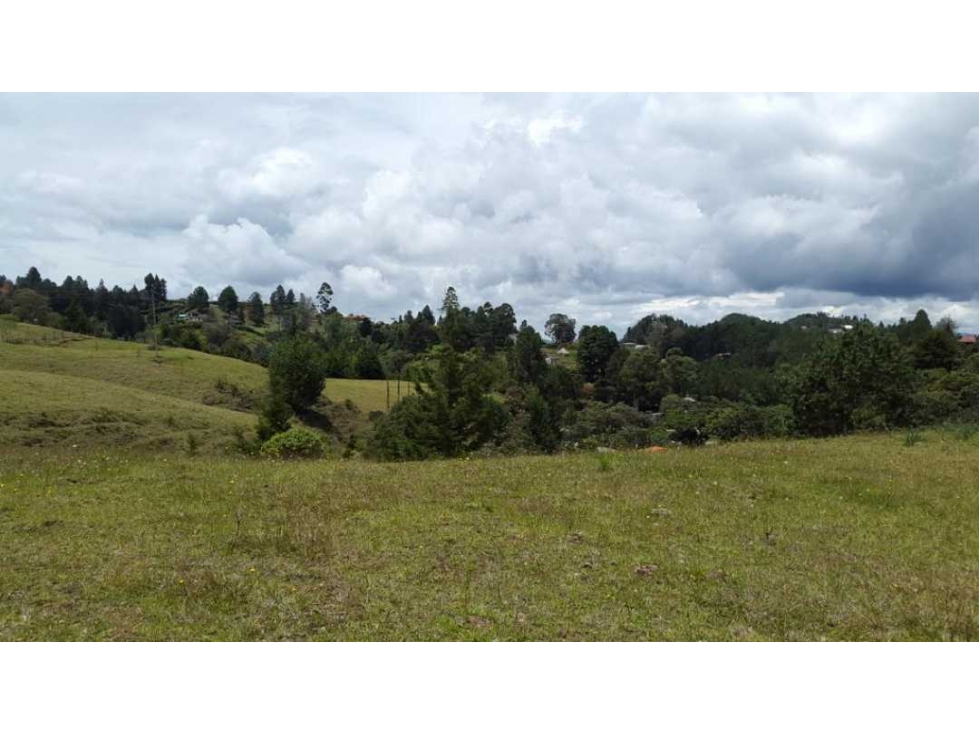 Lote Alto de Palmas Envigado