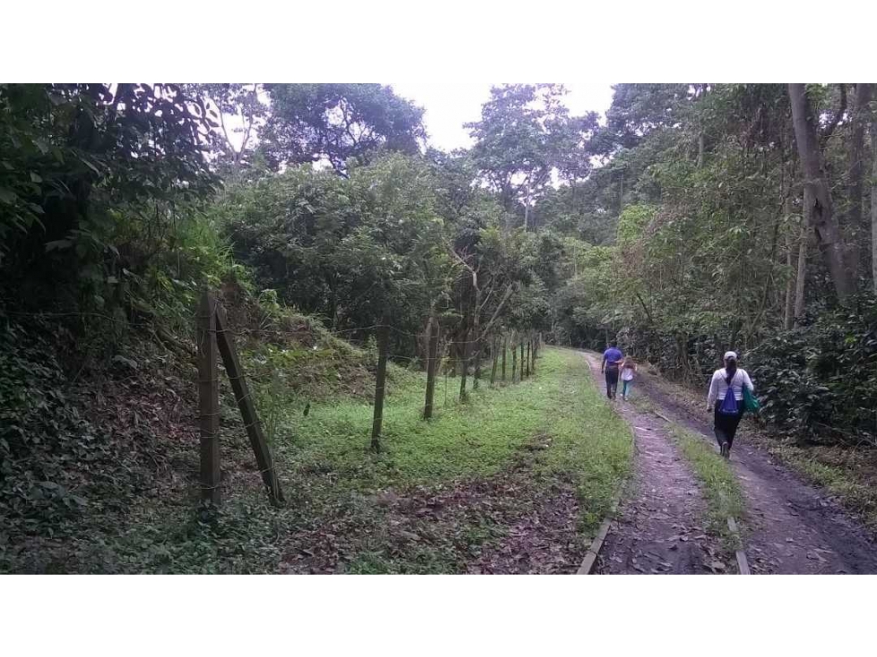 Lote Amplió Y Económico A hora Y Media De Bogotá - 1
