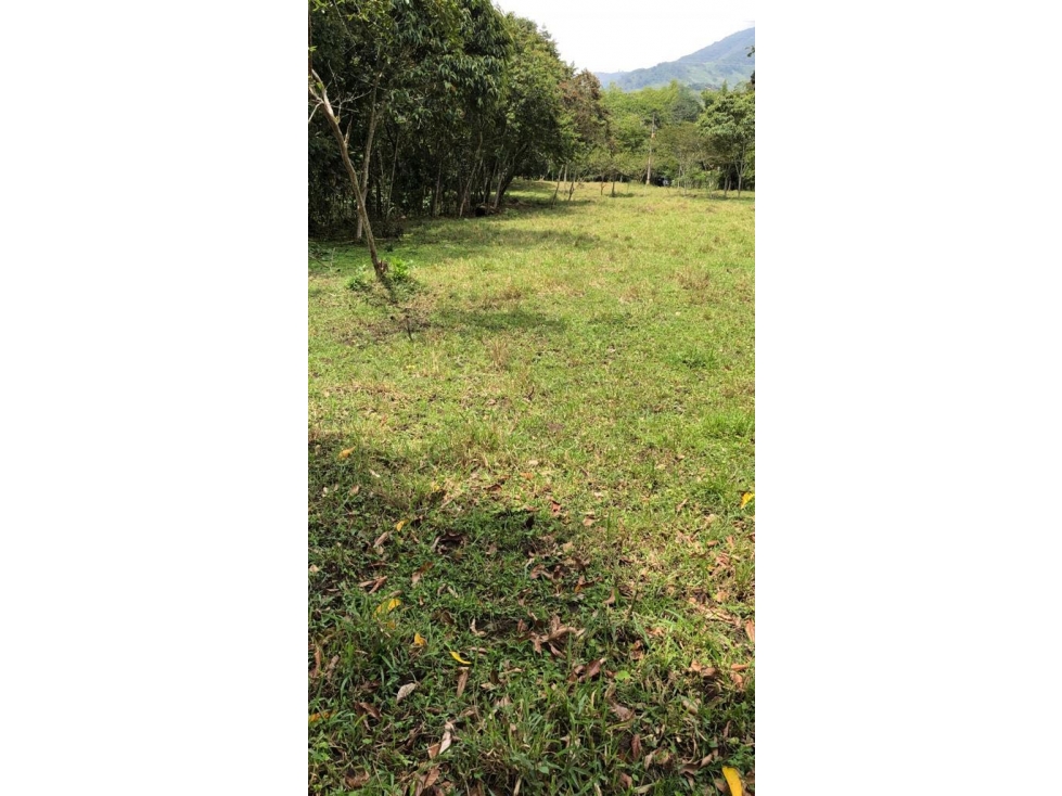 Lote Berbosa Popalito