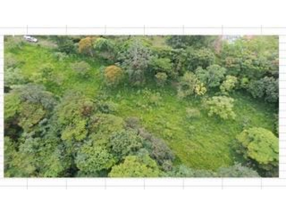 Lote Berbosa Popalito — foto 2