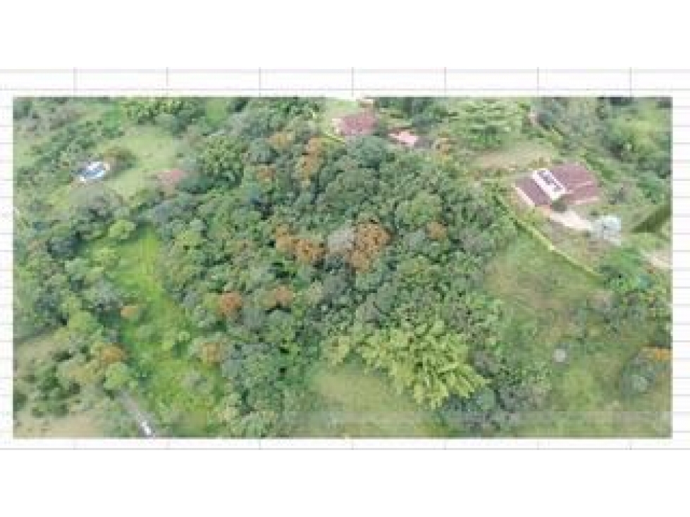 Lote Berbosa Popalito — foto 3