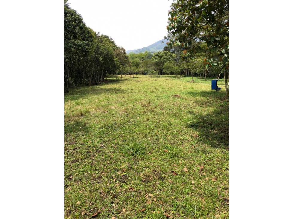 Lote Berbosa Popalito — foto 4