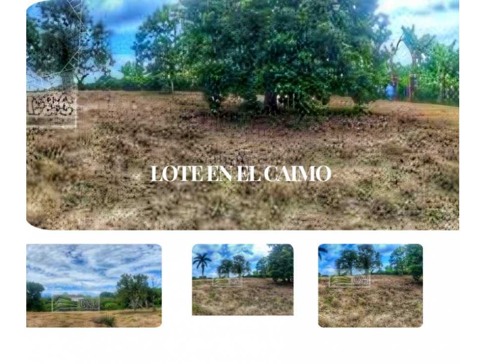 Lote Bien ubicado sector caimo / club campestre ( armenia ) - 1