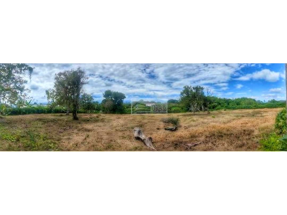 Lote Bien ubicado sector caimo / club campestre ( armenia ) - 3