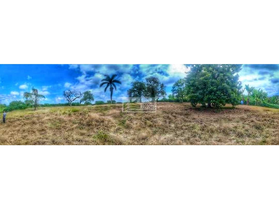 Lote Bien ubicado sector caimo / club campestre ( armenia ) - 2