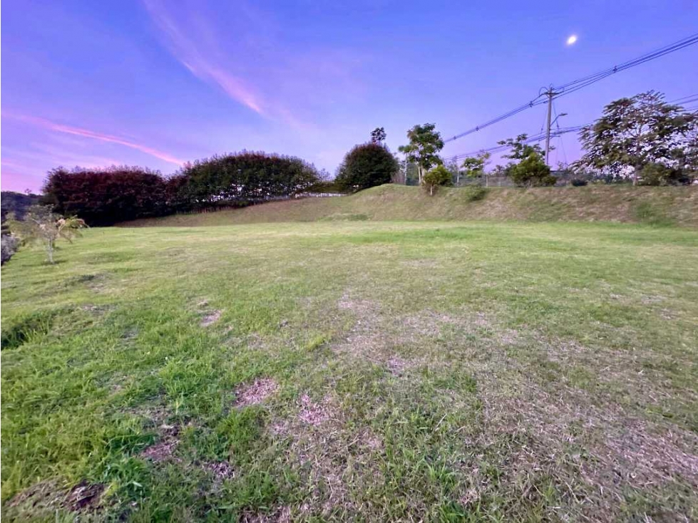 LOTE CAMPESTRE ALTO DE PALMAS — foto 2