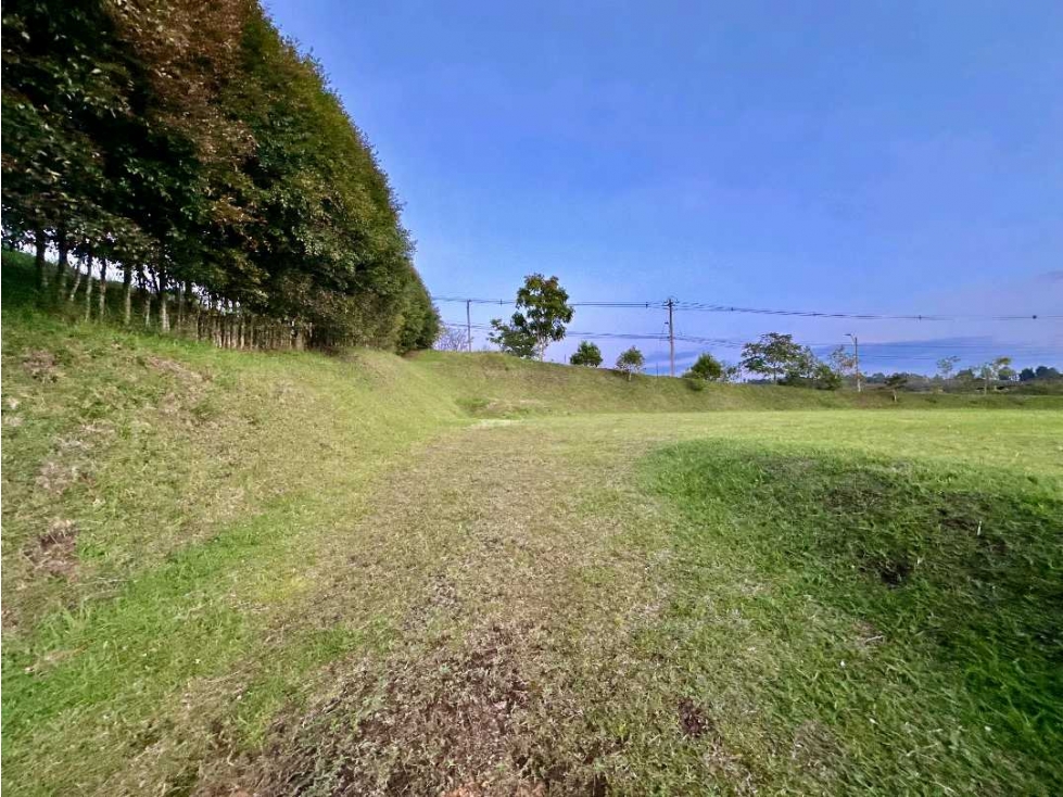 LOTE CAMPESTRE ALTO DE PALMAS — foto 4