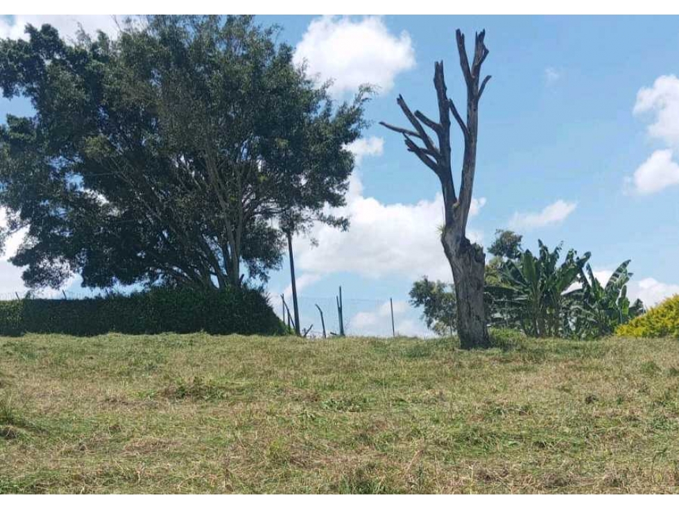 Lote campestre con servicios a 10 minutos de alcala Valle - 1