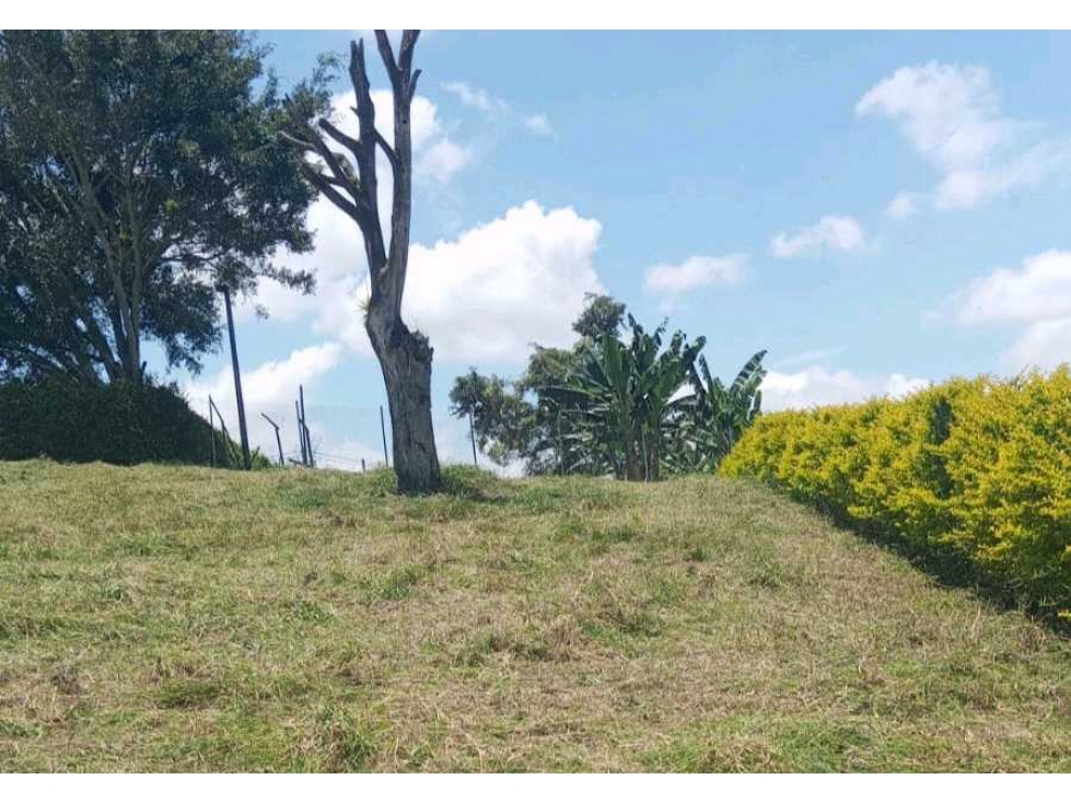 Lote campestre con servicios a 10 minutos de alcala Valle - 2