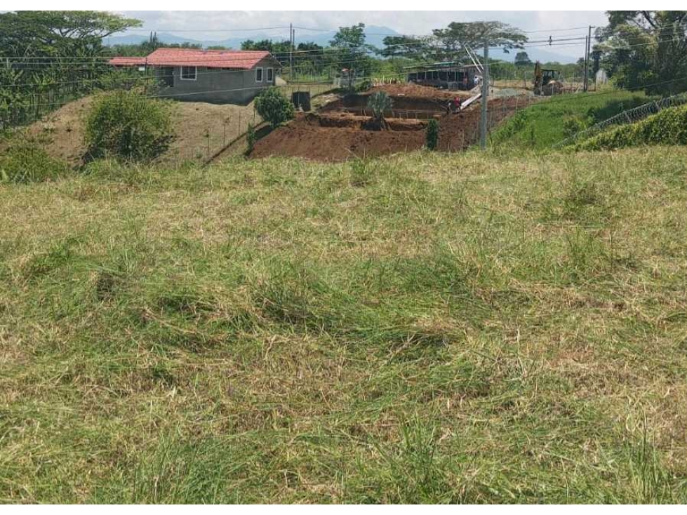 Lote campestre con servicios a 10 minutos de alcala Valle - 6