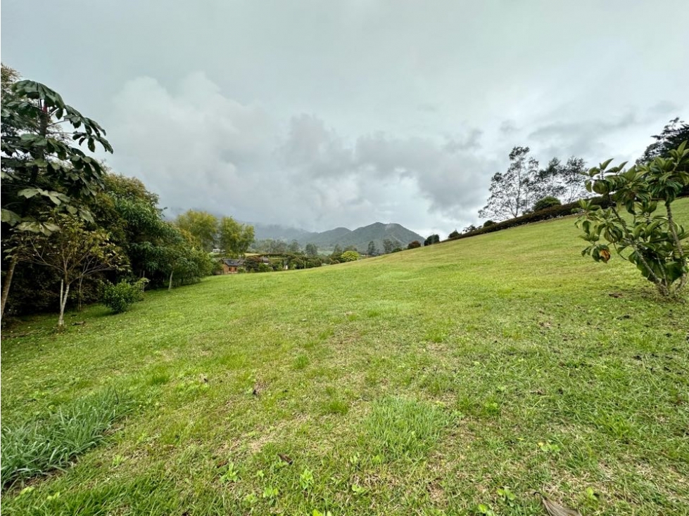 LOTE CORREDOR SAN ANTONIO-LA CEJA - 3