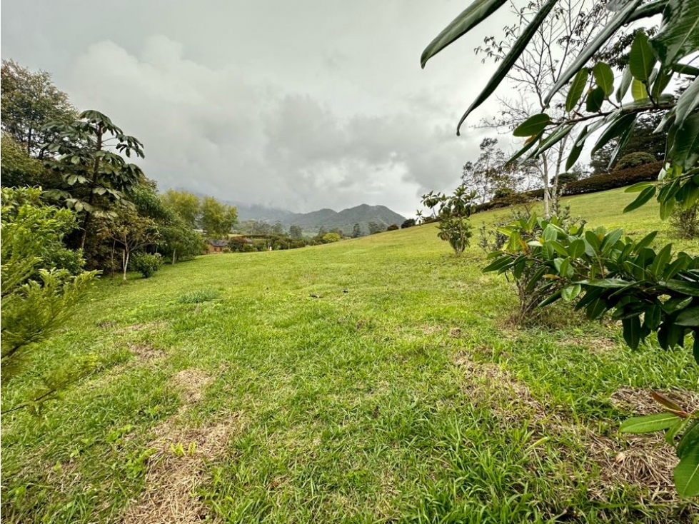 LOTE CORREDOR SAN ANTONIO-LA CEJA - 4