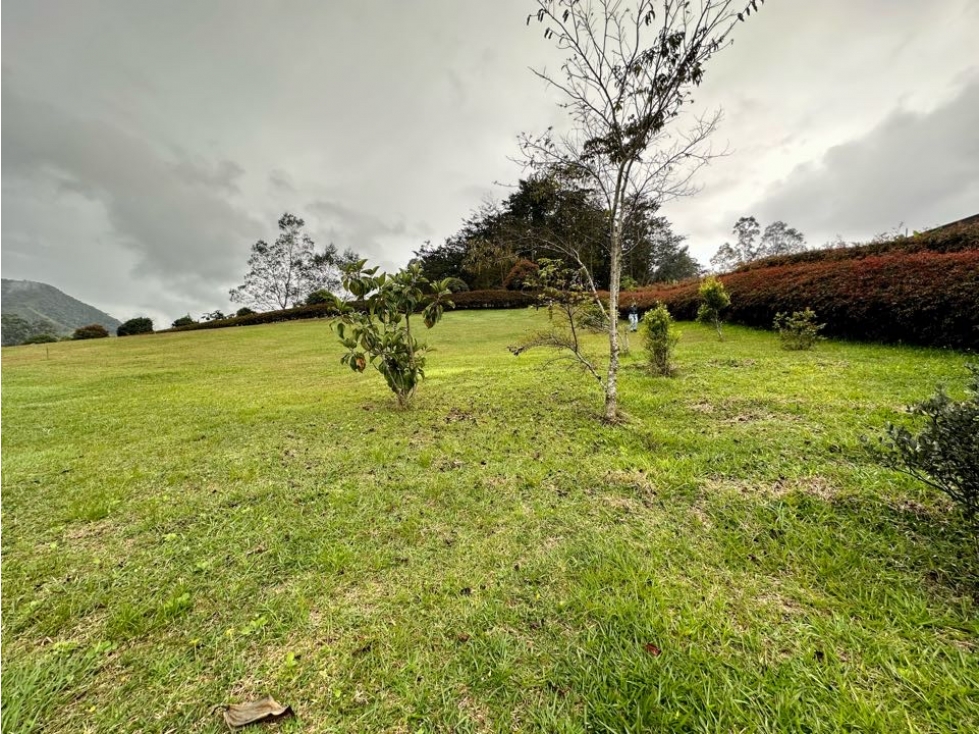 LOTE CORREDOR SAN ANTONIO-LA CEJA - 5