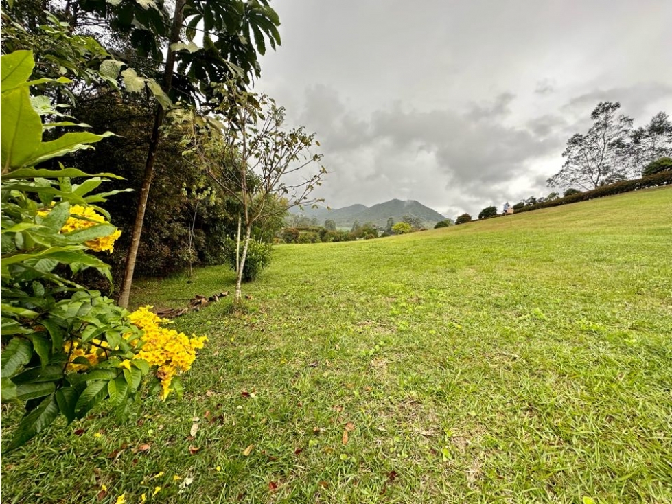 LOTE CORREDOR SAN ANTONIO-LA CEJA - 6