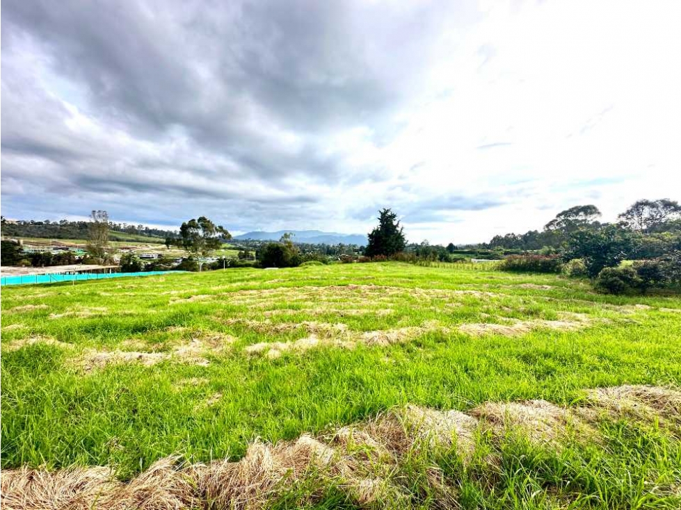 LOTE CAMPESTRE EN ALTO DE PALMAS