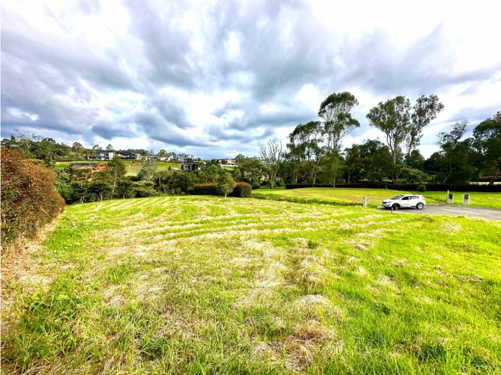LOTE CAMPESTRE EN ALTO DE PALMAS