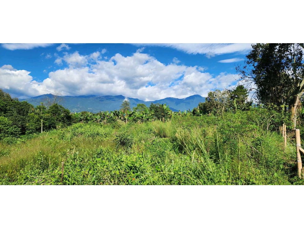 Lote campestre en el CAIMO para LA VENTA