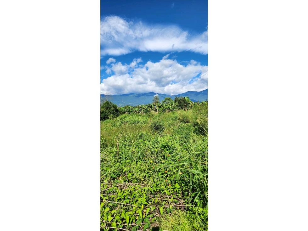 Lote campestre en el CAIMO para LA VENTA — foto 2