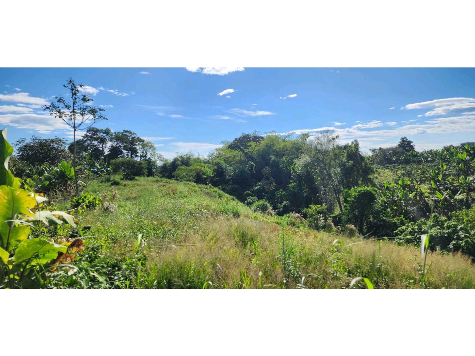 Lote campestre en el CAIMO para LA VENTA — foto 4