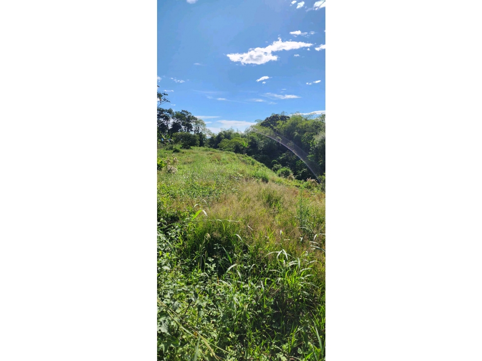 Lote campestre en el CAIMO para LA VENTA — foto 3