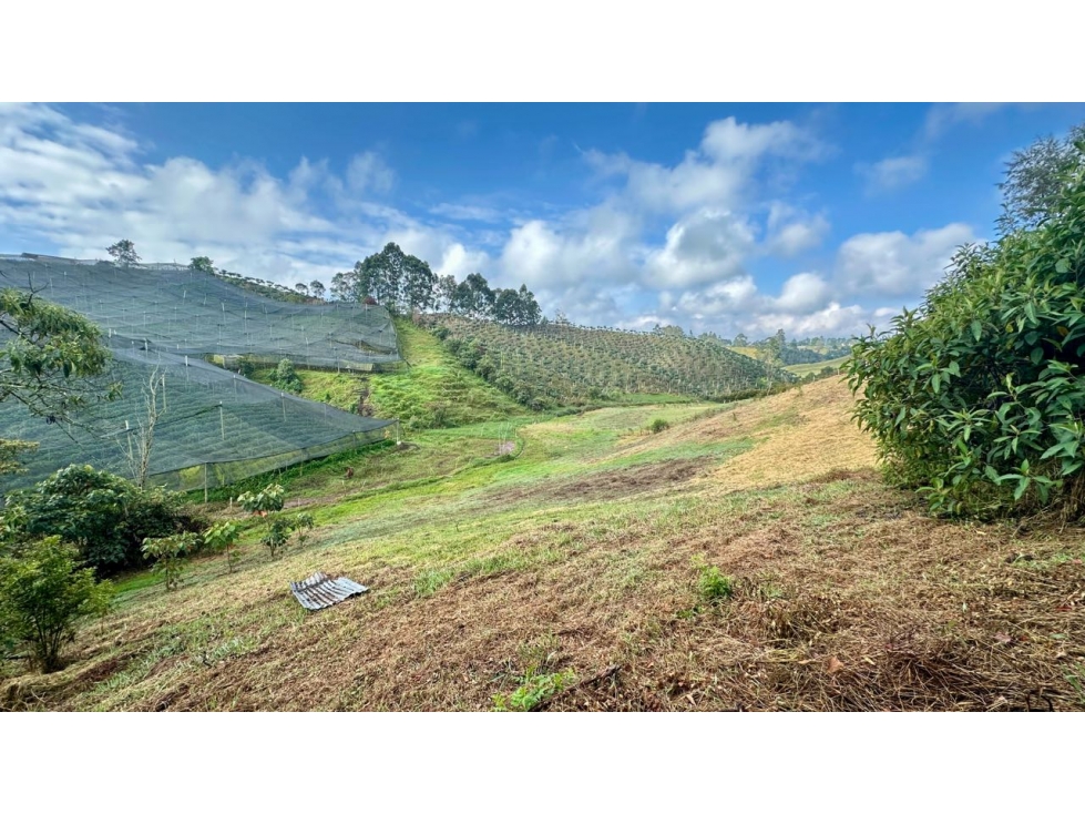 LOTE CAMPESTRE EN EL CARMEN