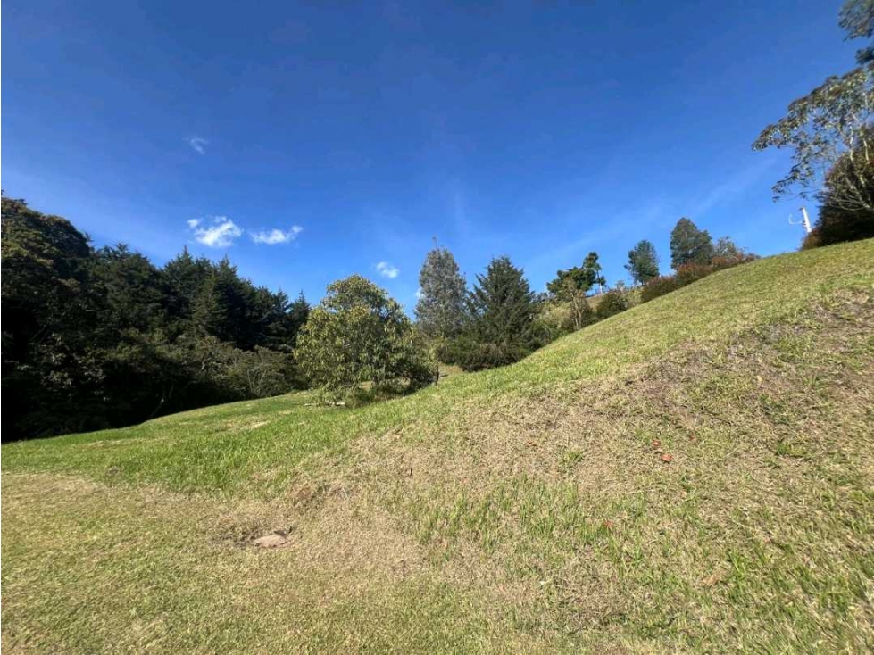 LOTE CAMPESTRE EN EL RETIRO