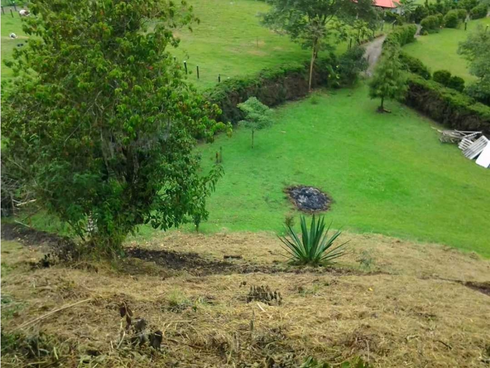 Lote campestre en Salento, excelente ubicación y clima agradable - 1