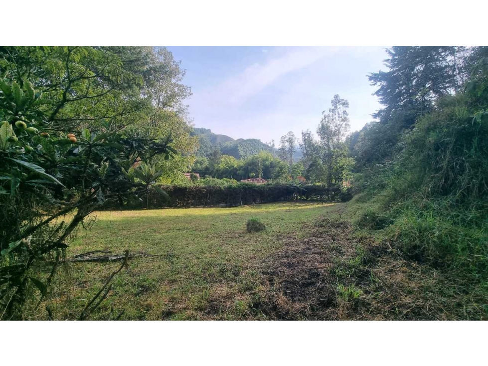 Lote campestre en Salento, excelente ubicación y clima agradable - 6