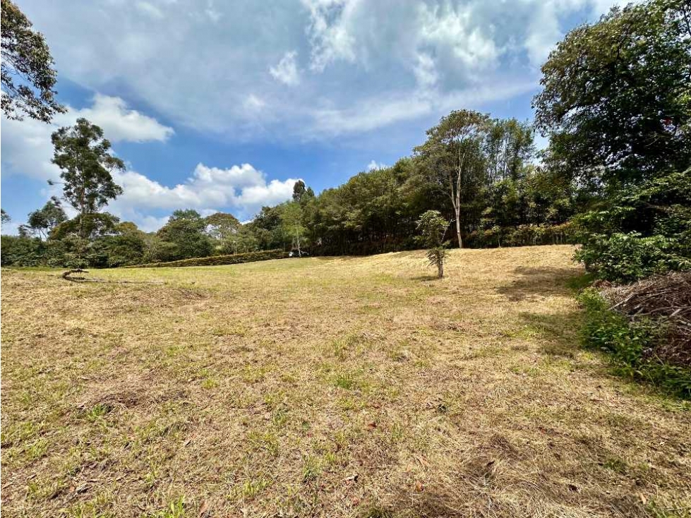 LOTE CAMPESTRE CORREDOR EN SAN ANTONIO - LA CEJA