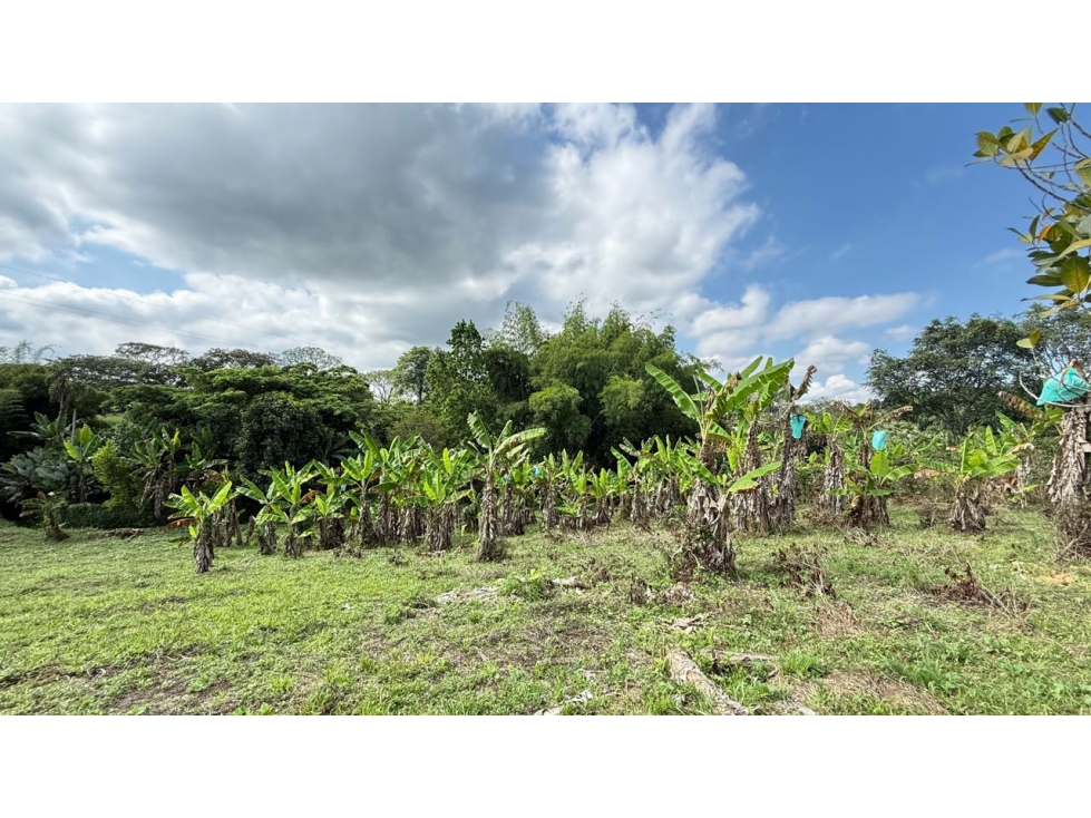 Lote campestre en venta Armenia Quindio vía Pueblo Tapao — foto 2