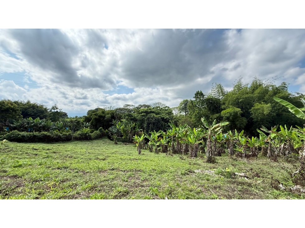 Lote campestre en venta Armenia Quindio vía Pueblo Tapao — foto 3