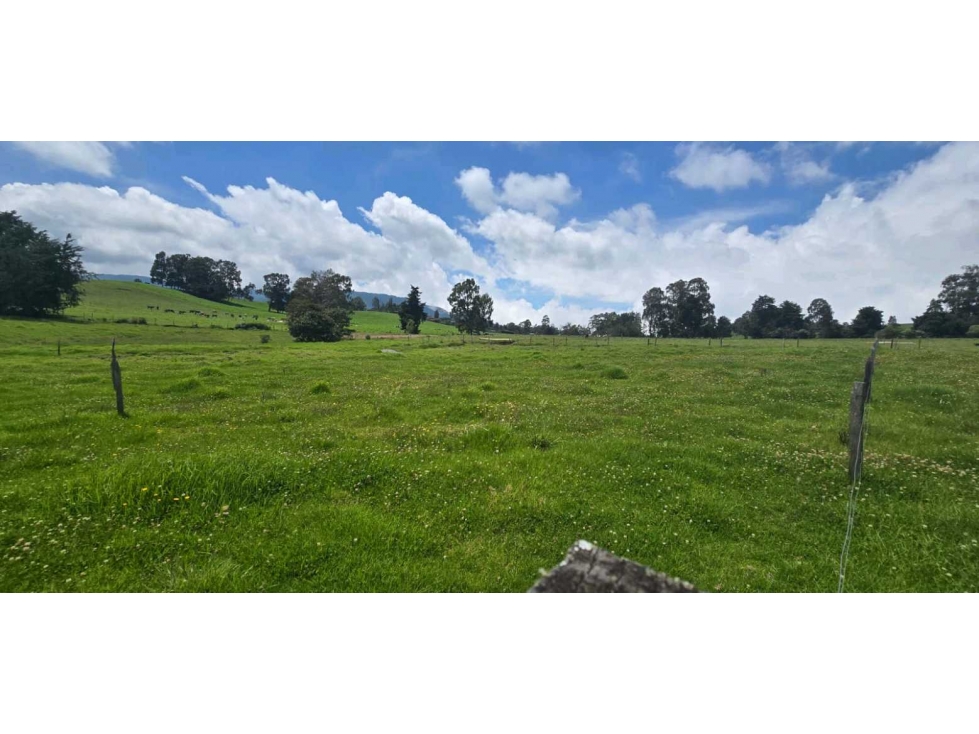 LOTE CAMPESTRE EN VENTA EN LLANO DE OVEJAS SAN PEDRO DE LOS MILAGROS