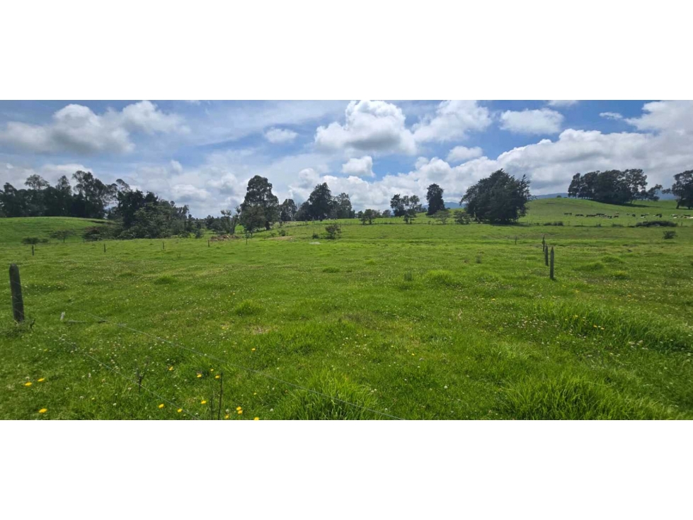 LOTE CAMPESTRE EN VENTA EN LLANO DE OVEJAS SAN PEDRO DE LOS MILAGROS — foto 2