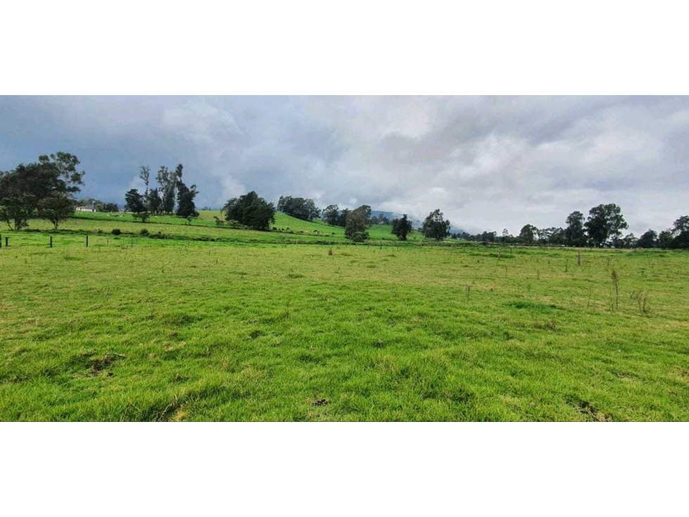 LOTE CAMPESTRE EN VENTA EN LLANO DE OVEJAS SAN PEDRO DE LOS MILAGROS — foto 3