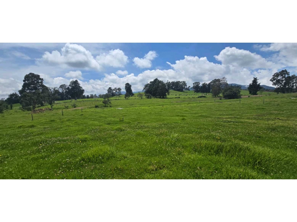 LOTE CAMPESTRE EN VENTA EN LLANO DE OVEJAS SAN PEDRO DE LOS MILAGROS — foto 4