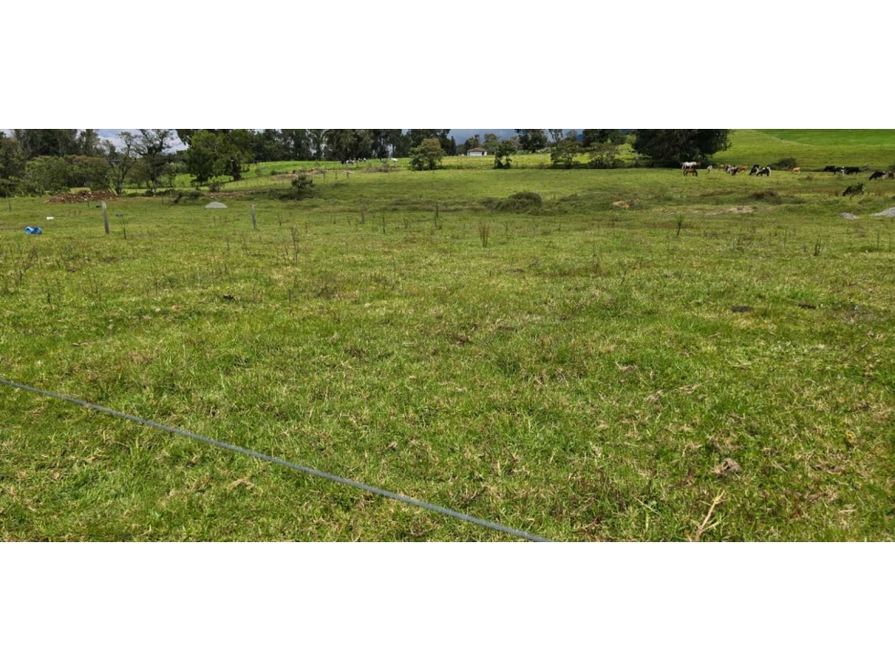 LOTE CAMPESTRE EN VENTA EN LLANO DE OVEJAS SAN PEDRO DE LOS MILAGROS — foto 5