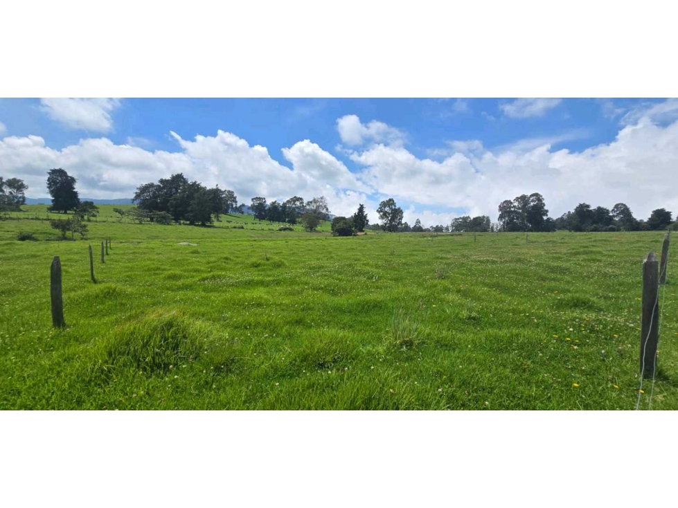 LOTE CAMPESTRE EN VENTA EN LLANO DE OVEJAS SAN PEDRO DE LOS MILAGROS — foto 6