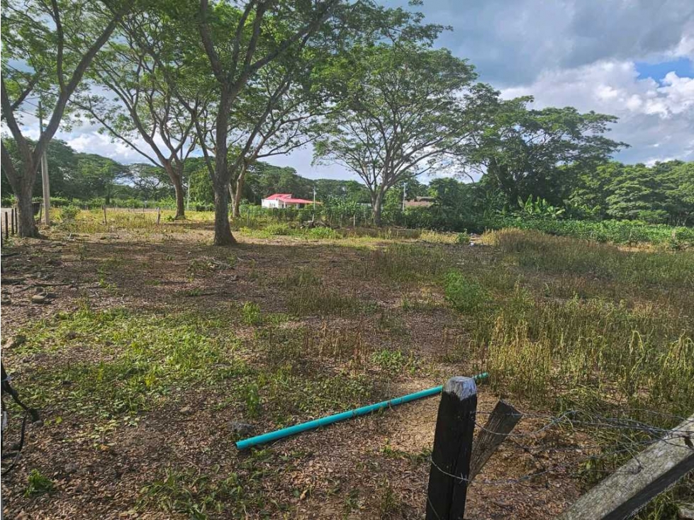 LOTE CAMPESTRE EN VENTA EN MONTERIA CORDOBA — foto 2