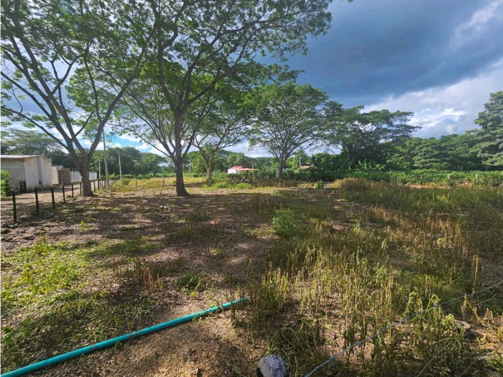 LOTE CAMPESTRE EN VENTA EN MONTERIA CORDOBA — foto 4