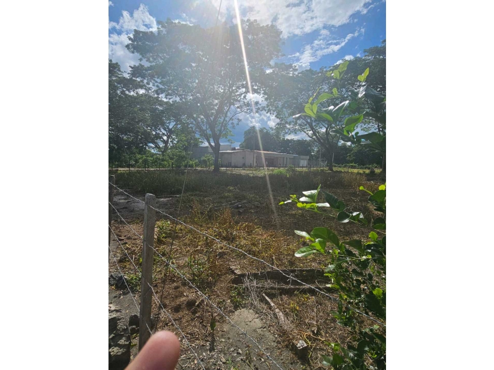 LOTE CAMPESTRE EN VENTA EN MONTERIA CORDOBA — foto 5