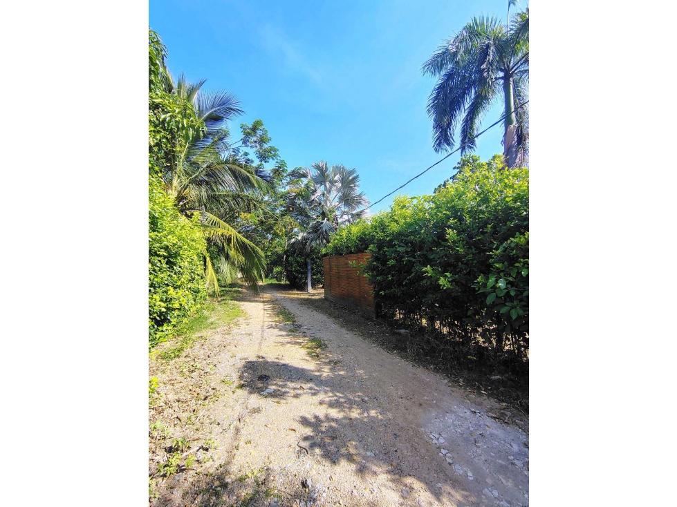 LOTE CAMPESTRE EN VENTA EN MONTERIA
